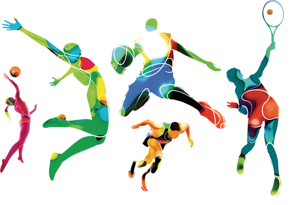 participation licences sportives