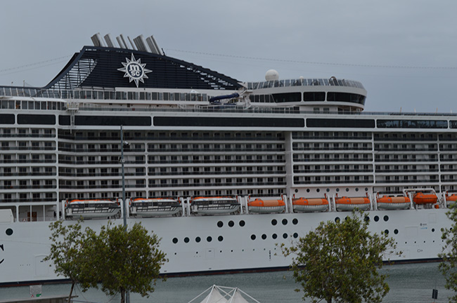 msc