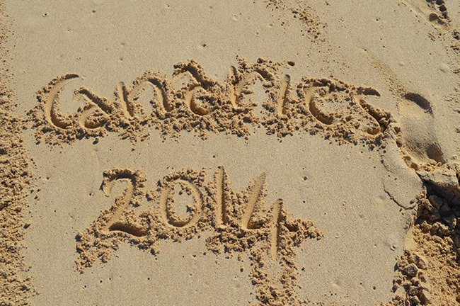 canaries