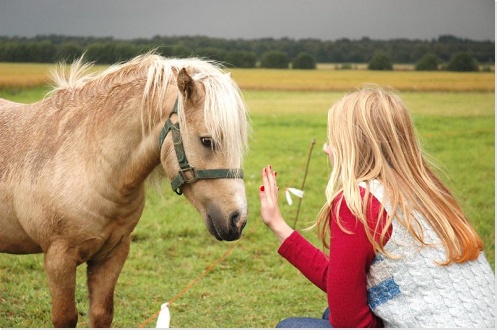 poney
