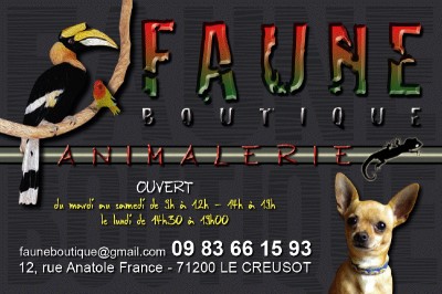 faune boutique