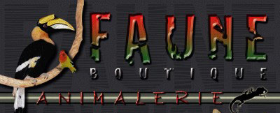 faune boutique