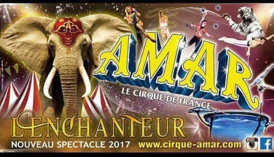Amar l enchanteur 2017