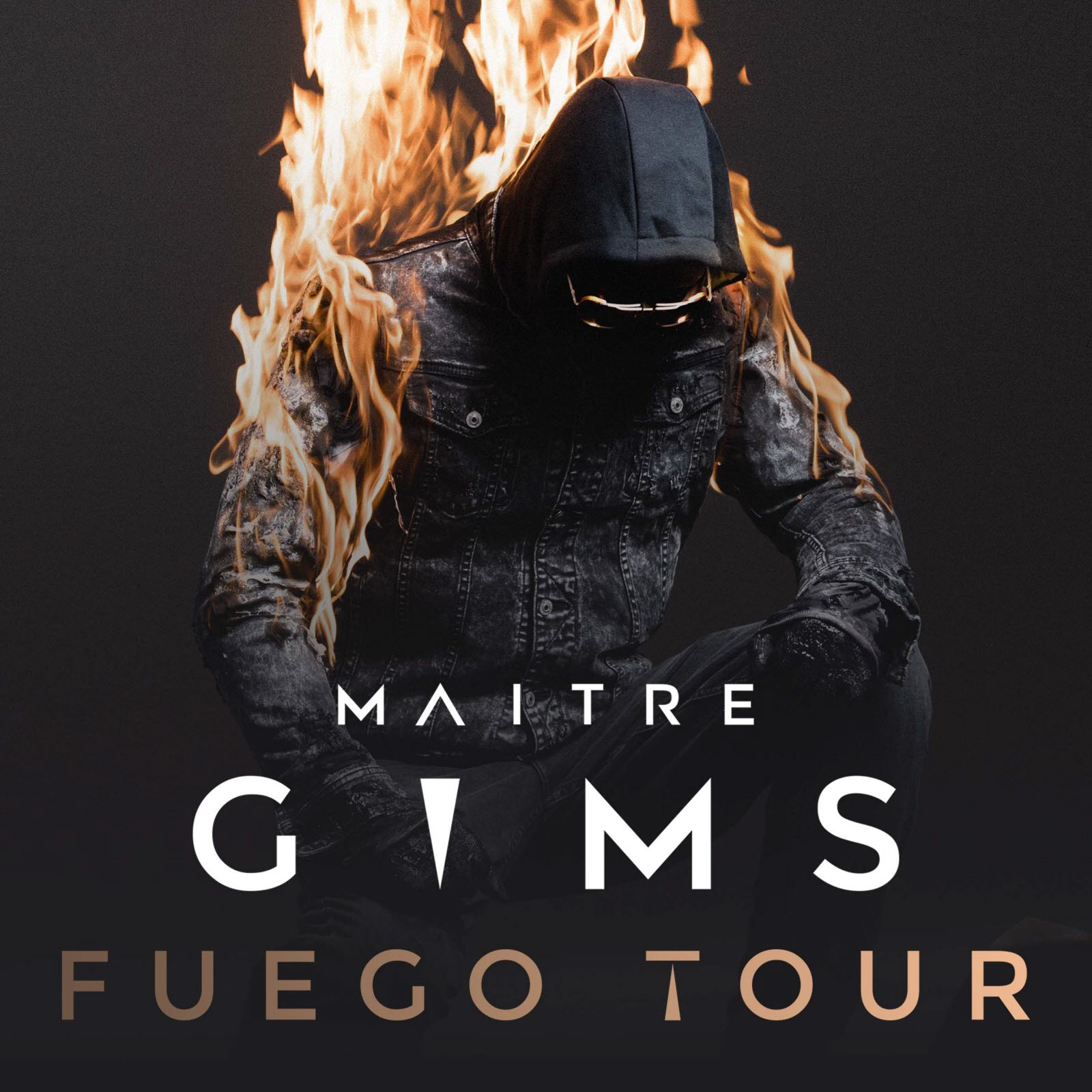 Maîte GIMS 2018