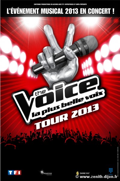 the voice